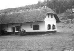 eika image